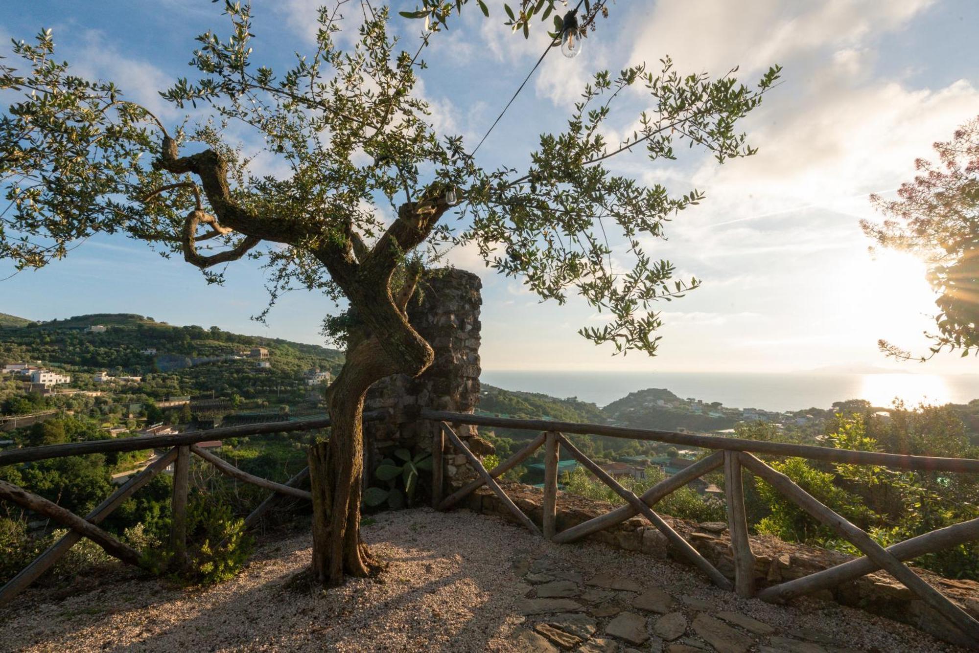Il Turro Bed & Breakfast Massa Lubrense