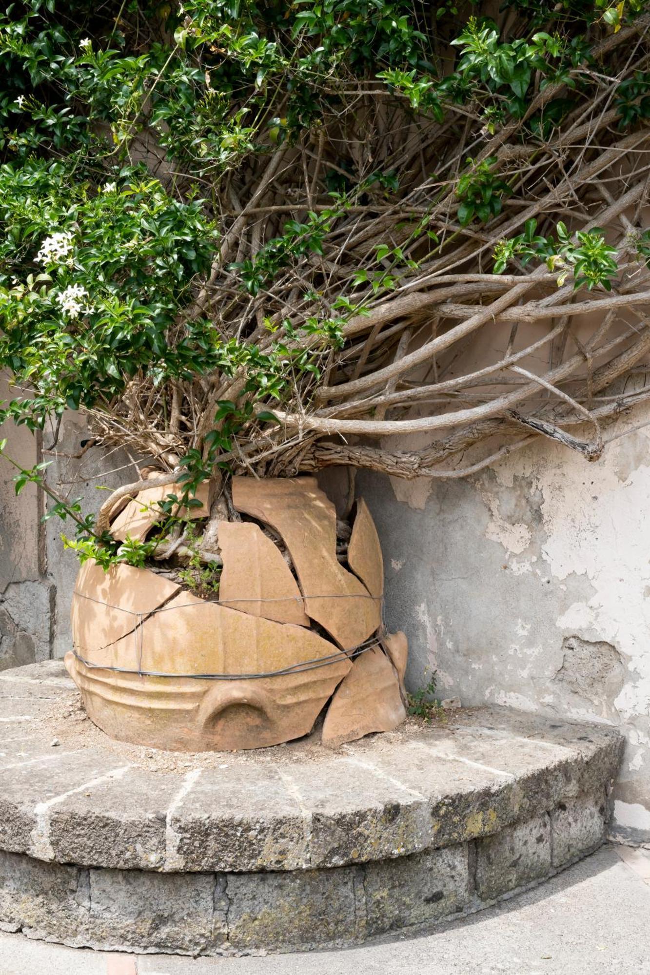 Bed & Breakfast Il Turro Massa Lubrense